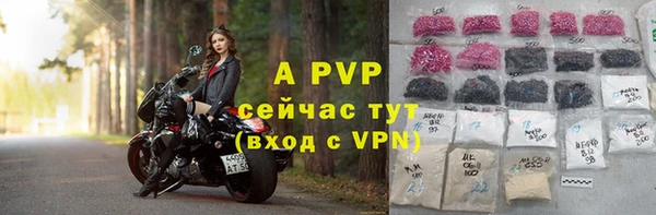 твердый Белокуриха