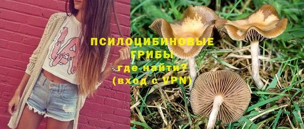 ПСИЛОЦИБИНОВЫЕ ГРИБЫ Беломорск