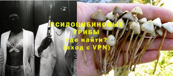 сатива Богородицк