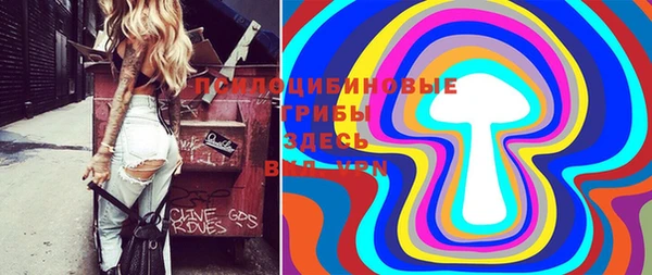 сатива Богородицк