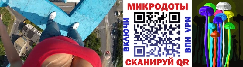 Псилоцибиновые грибы мухоморы  Сыктывкар 